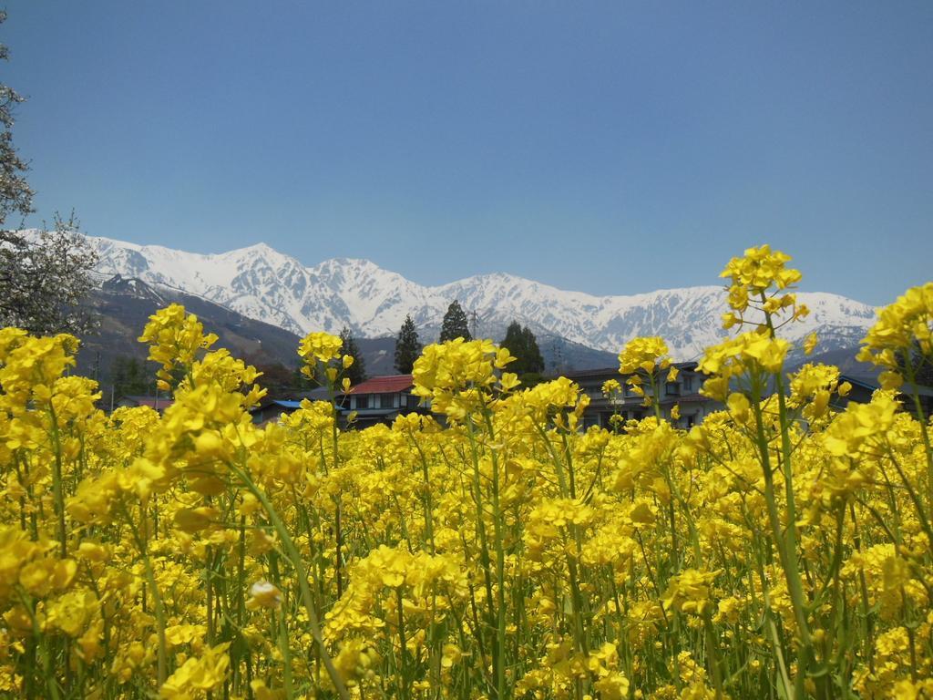 Pension Ciel Hakuba Exteriér fotografie